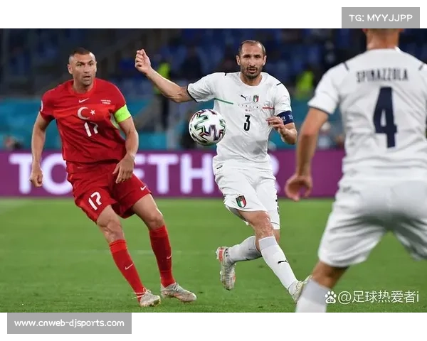 借鉴欧洲先进经验,政府应为职业足球提供支持